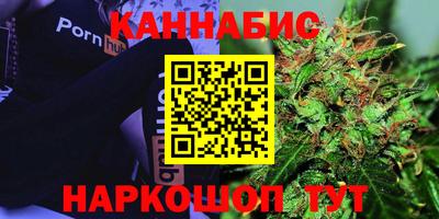 крисы Тулун
