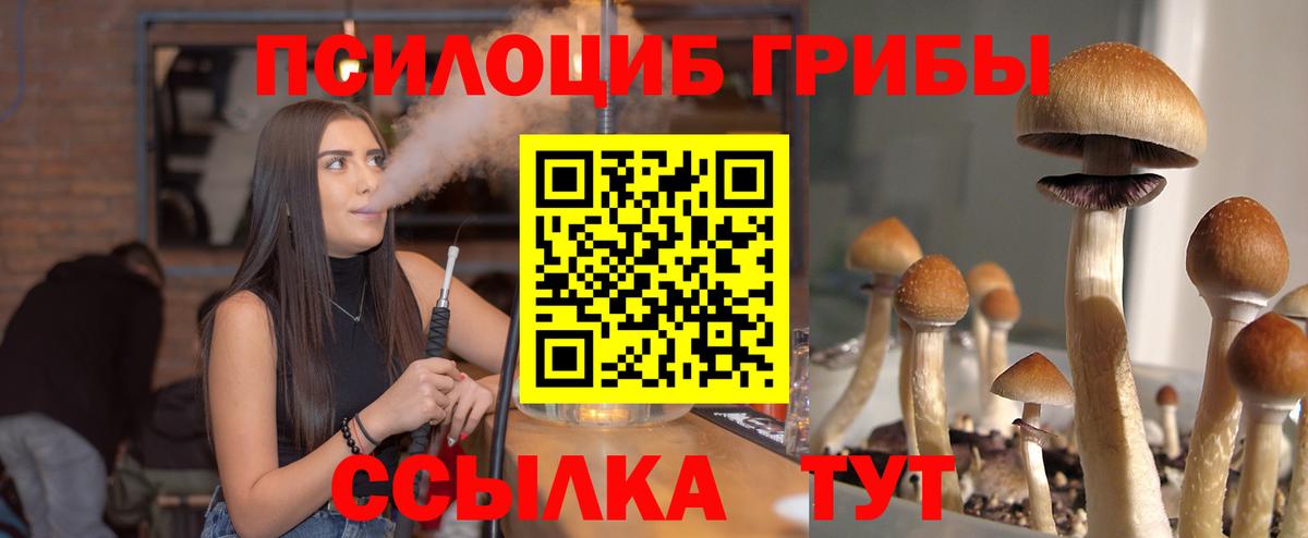Псилоцибиновые грибы ЛСД Медногорск