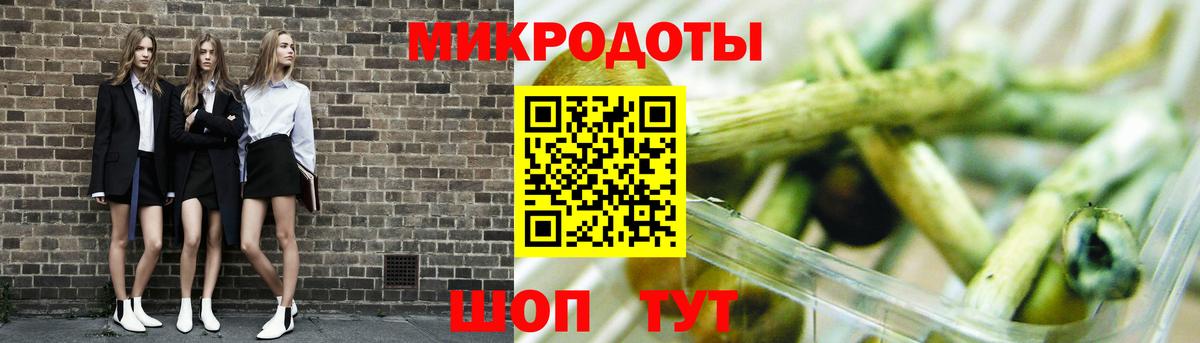 Медногорск  Псилоцибиновые грибы мухоморы  Вход с VPN 